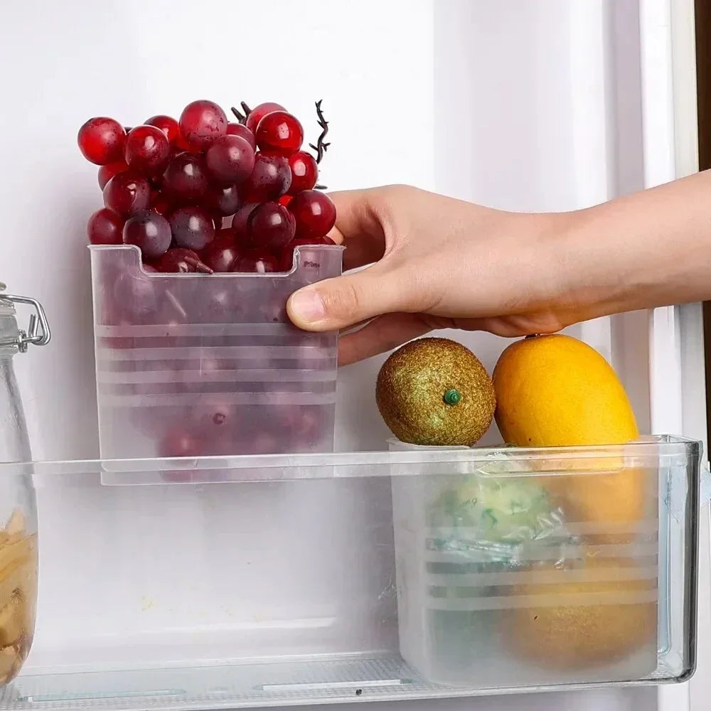 boites de rangement pour frigo fruits